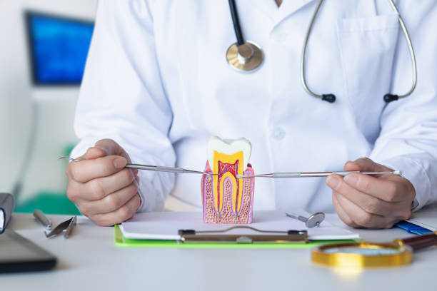 Best Emergency Root Canal Therapy in Peosta, IA